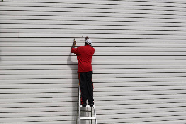 Affordable Siding Repair and Maintenance Services in Noroton, CT